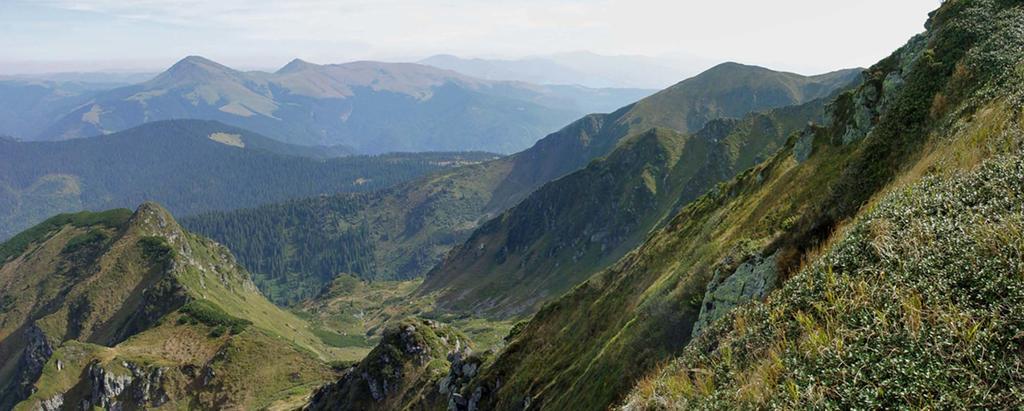 Sadyba Karpatiya Яремча Экстерьер фото