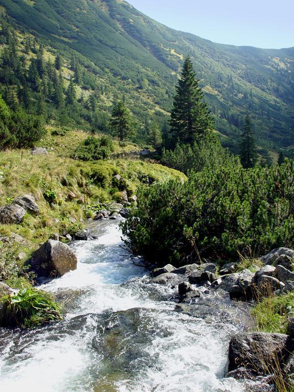 Sadyba Karpatiya Яремча Экстерьер фото